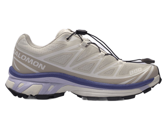 Salomon XT-6 in Almond Milk / Silver Cloud