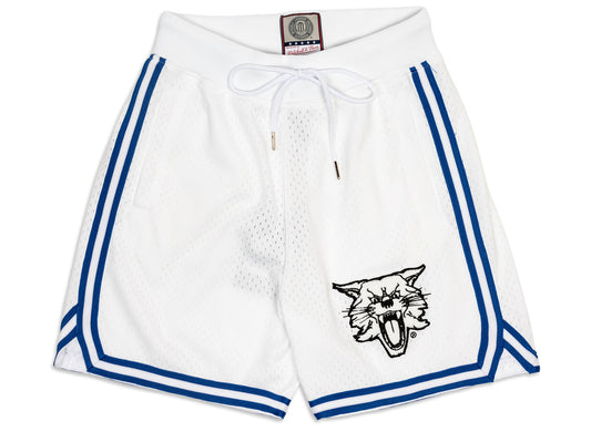 Mitchell & Ness Oneness Kentucky Wildcats Game Day Shorts in White