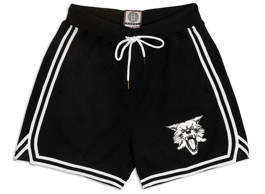 Mitchell & Ness Oneness Kentucky Wildcats Game Day Shorts in Black