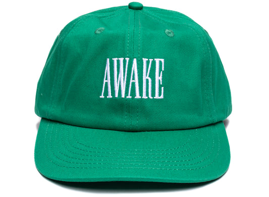 Awake NY Logo Hat in Green xld