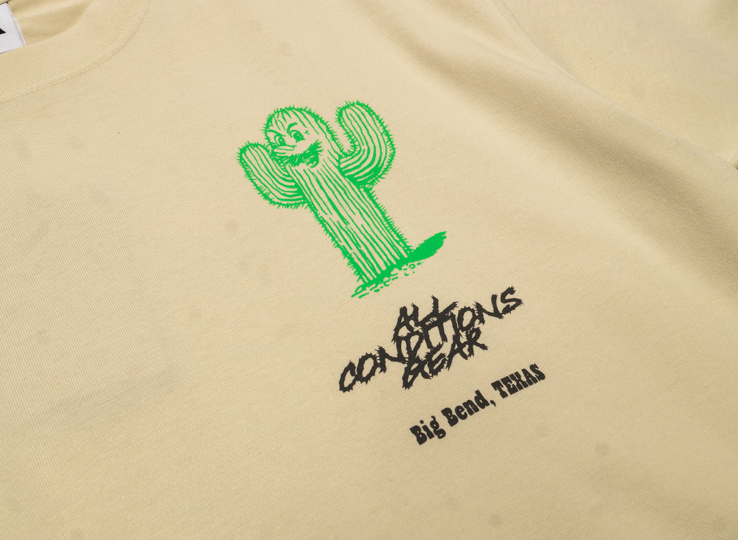 Nike ACG OC Cactus Tee