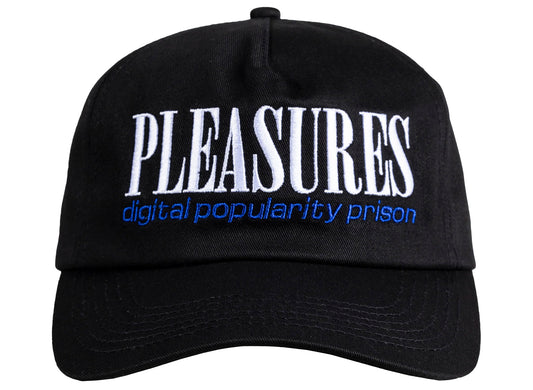 Pleasures Digital Snapback Hat in Black
