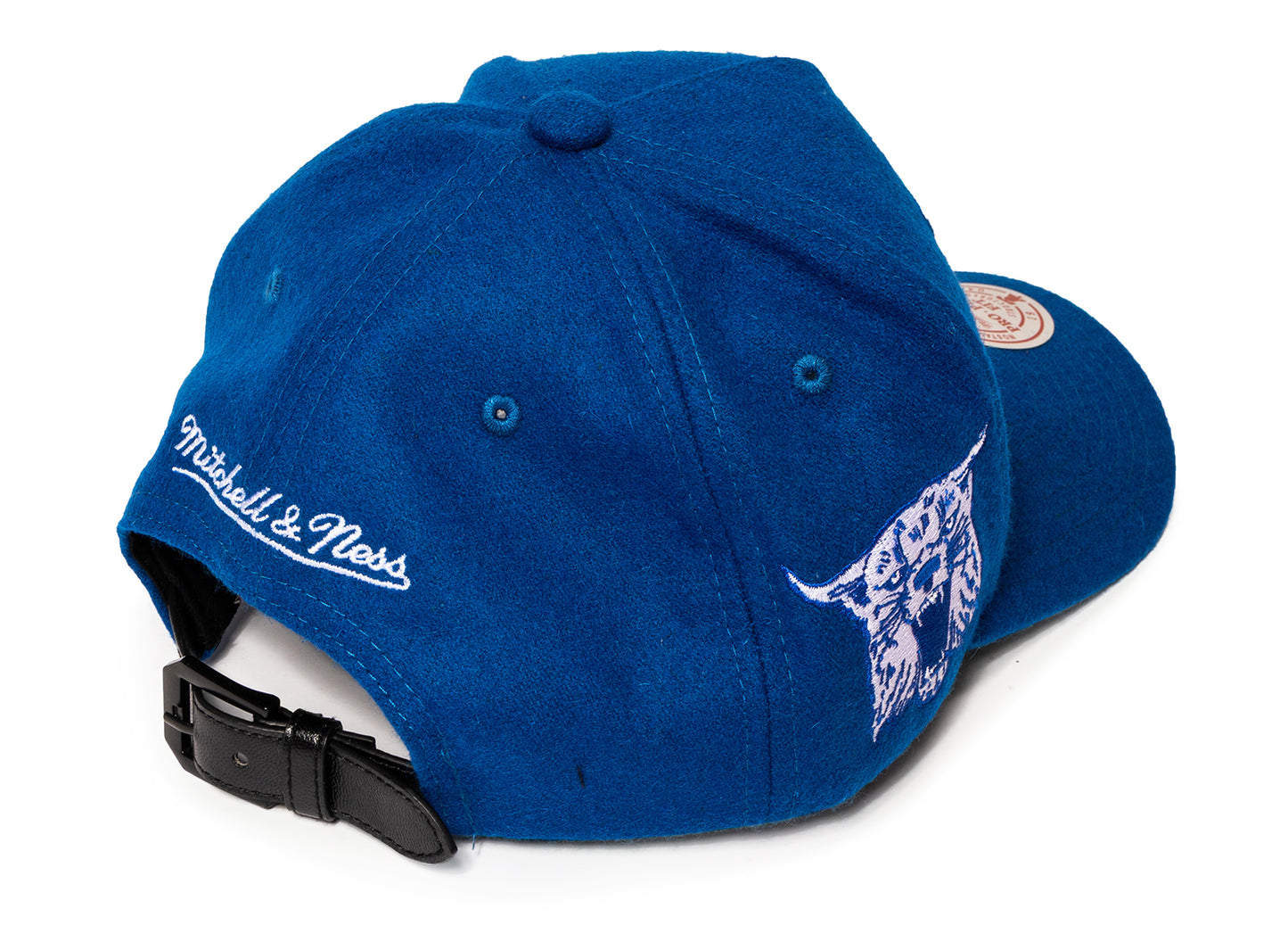 Mitchell & Ness Kicking Wool Pro Strapback V Kentucky Wildcats