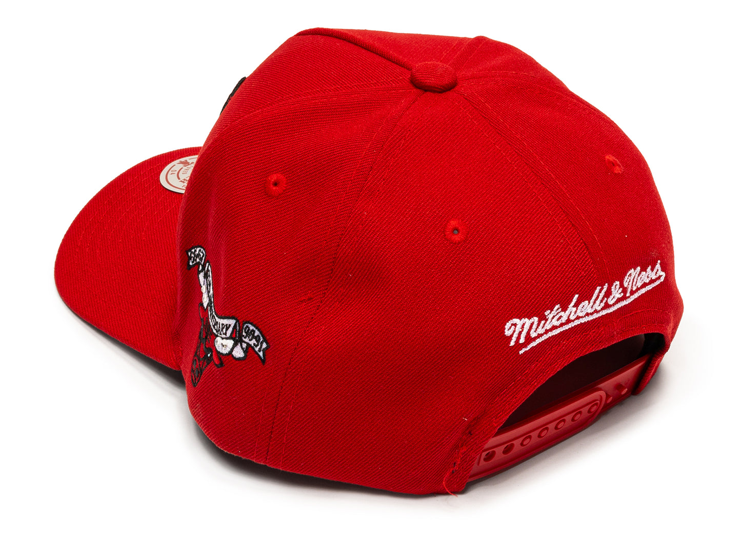 Mitchell & Ness NBA All That Bling Pro Snapback Bulls