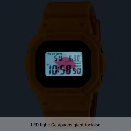 Casio G-Shock Digital 5600 Series 'Charles Darwin Foundation' Galápagos Watch in Yellow