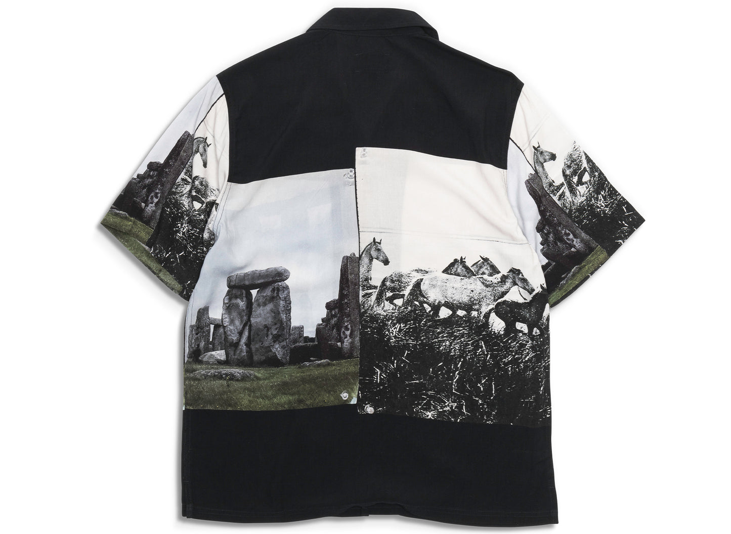 Pleasures Horse Button Down Shirt in Black - view 2