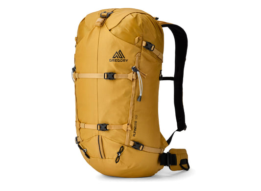 Gregory Alpinisto 20 in Alpine Glow