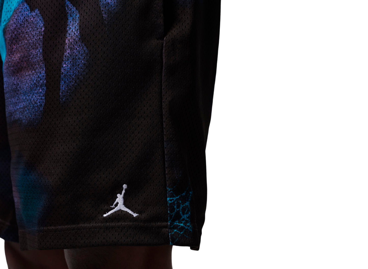 Jordan Brooklyn Mesh Dream Dunk Shorts in Black / Blue