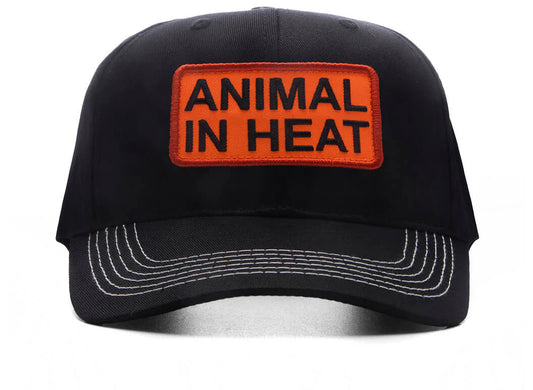 Pleasures Heat Snapback in Black