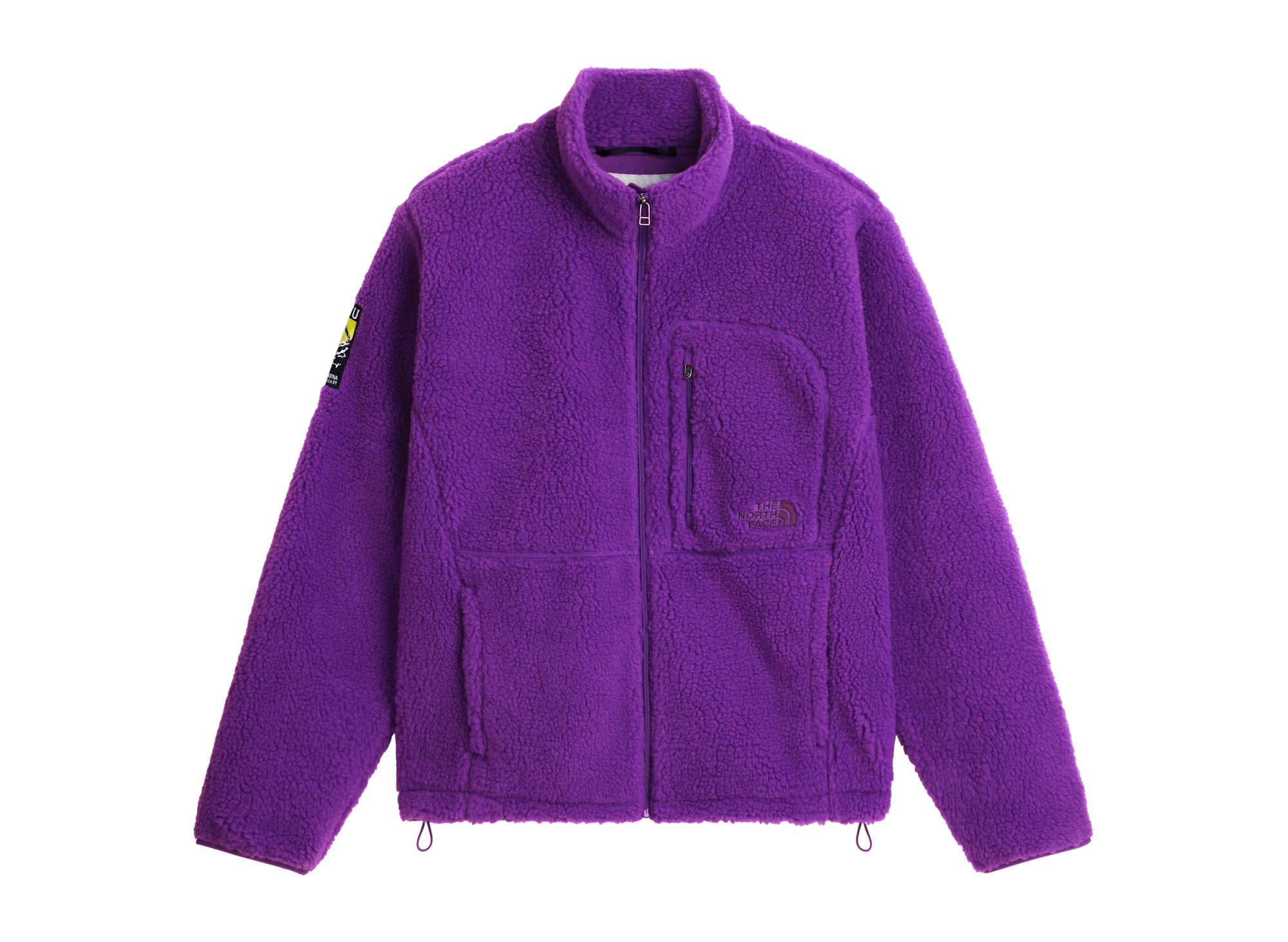 The North Face Extreme Pile 2 Full-Zip Jacket in Peak Purple