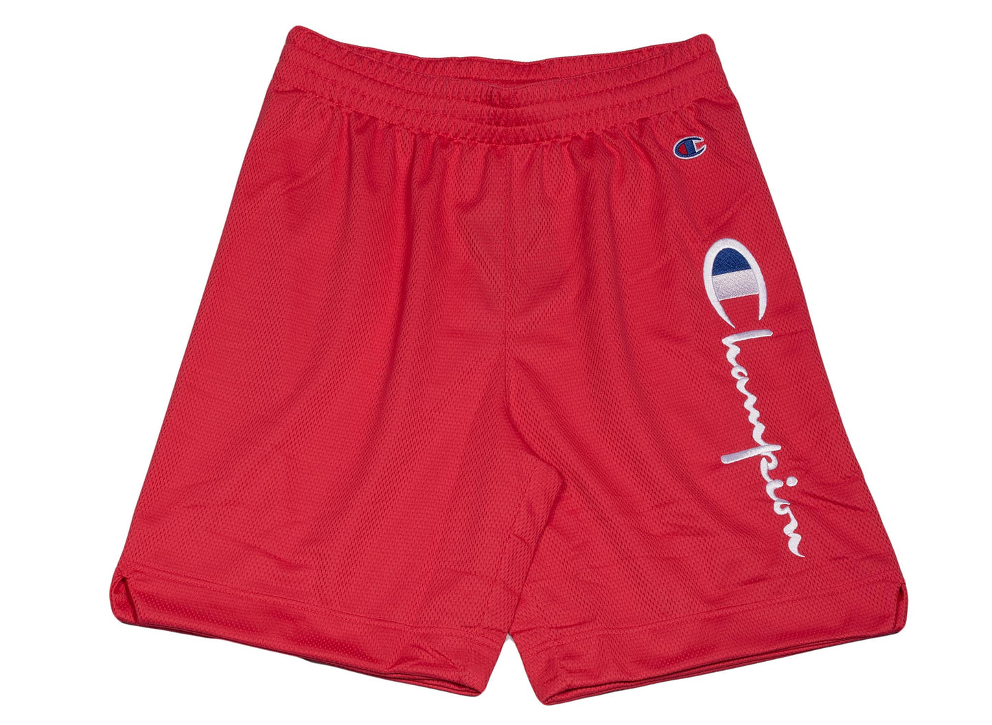 Champion Men's Shorts