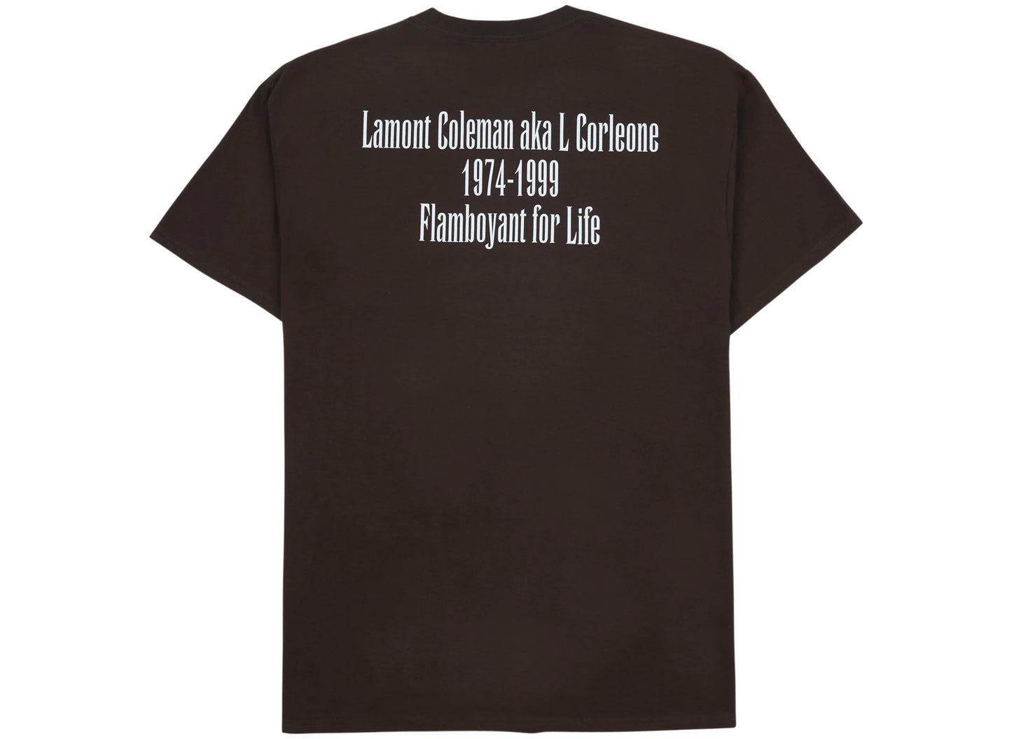 Pleasures In Memory Tee in Brown