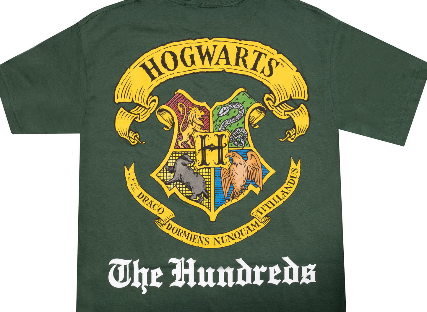 The Hundreds x Harry Potter Hogwarts Tee in Green