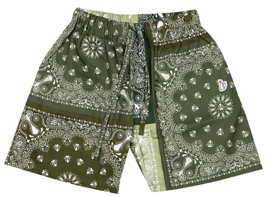 Fucking Rabbits Paisley Shorts in Green