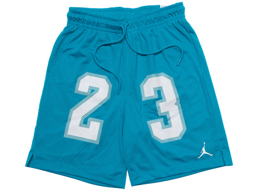Jordan Essentials Mesh Shorts