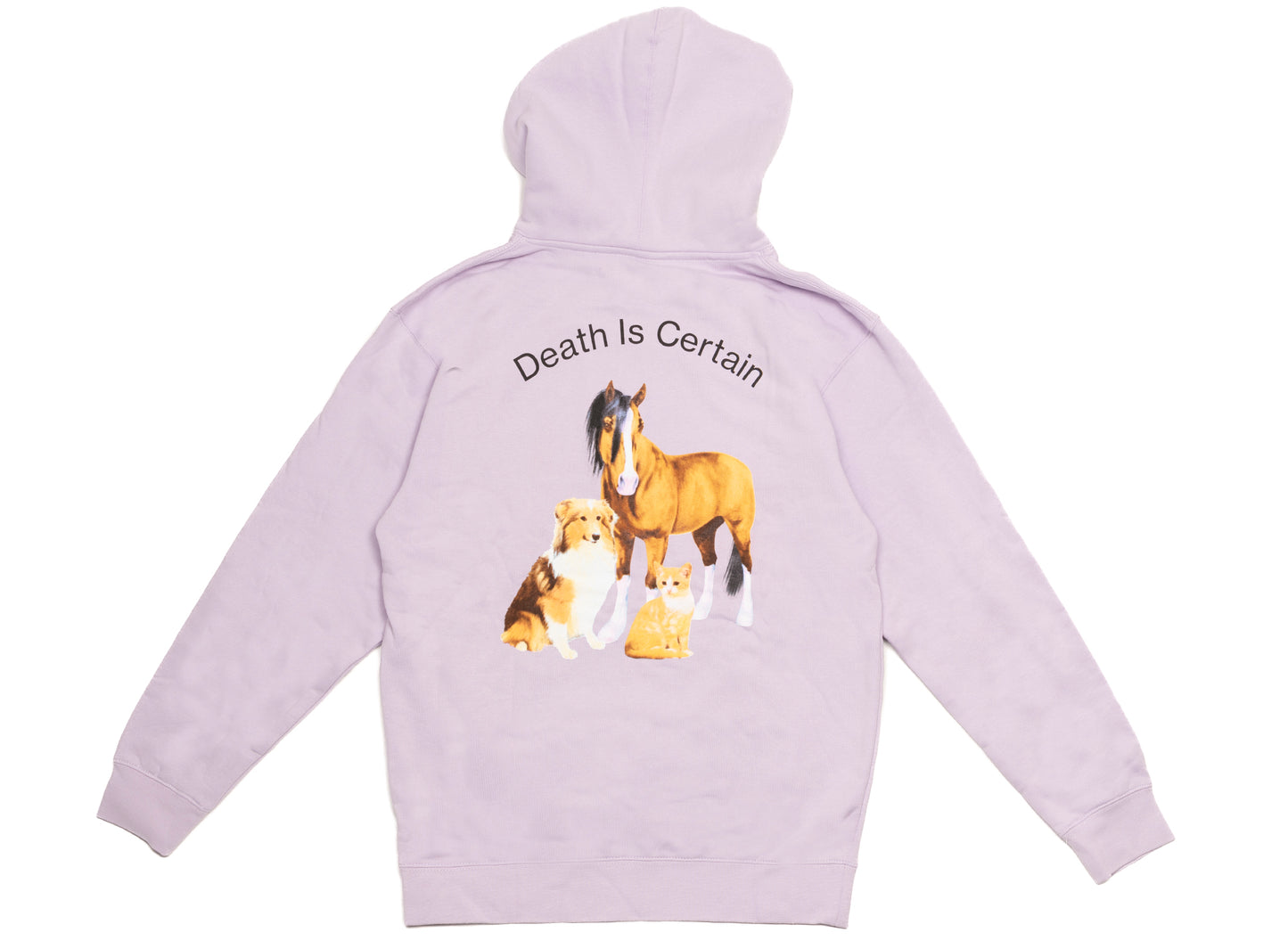 Pleasures Death Hoodie in Lavender