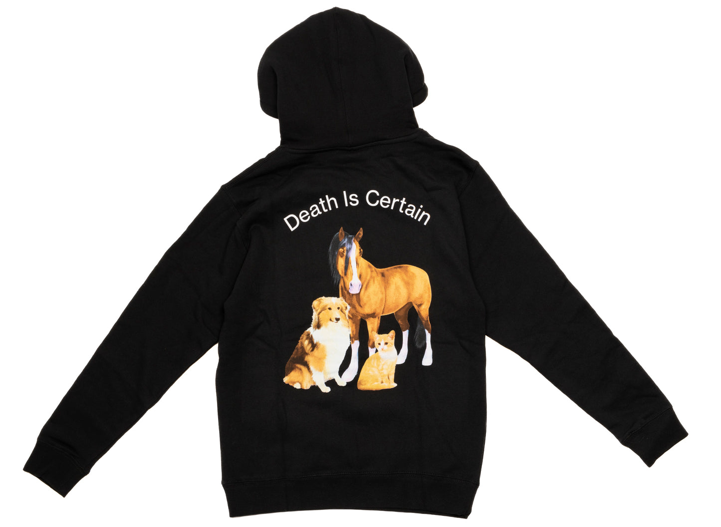 Pleasures Death Hoodie in Black