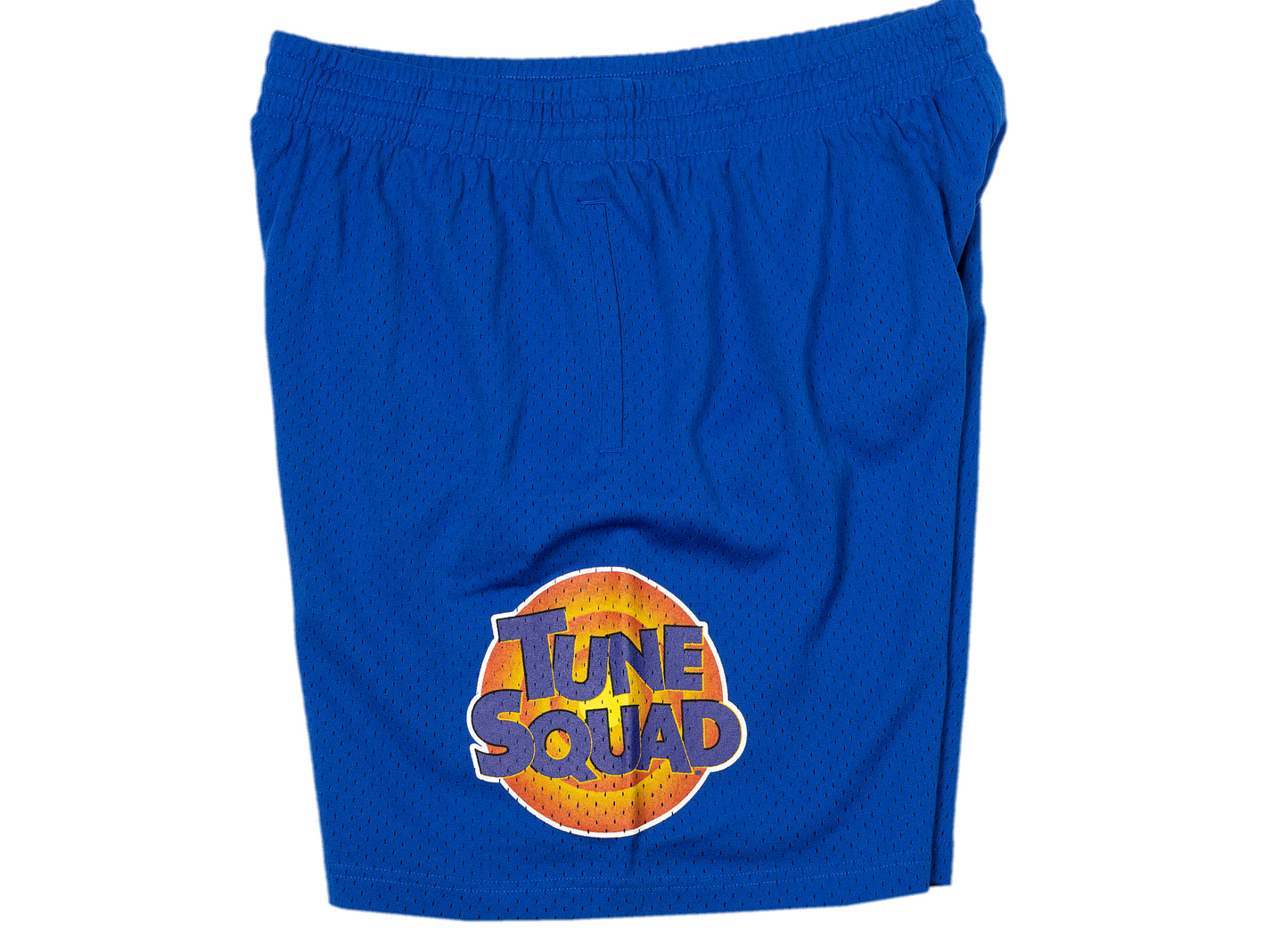 Mitchell & Ness EPC Goon Squad Warner Brothers Property Shorts in Royal Blue