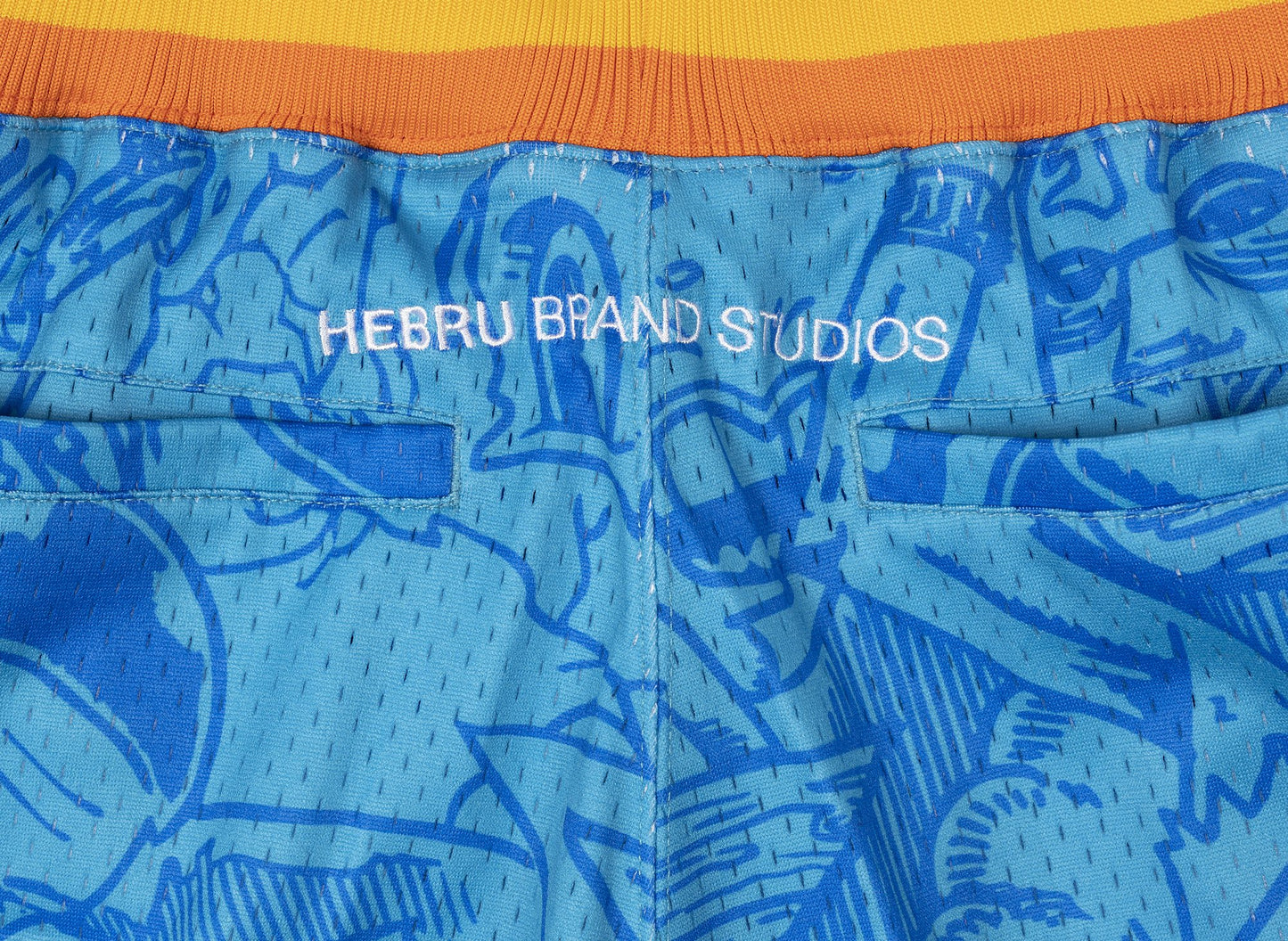 Mitchell & Ness x Hebru Brantley NBA Supersonics Shorts in Blue