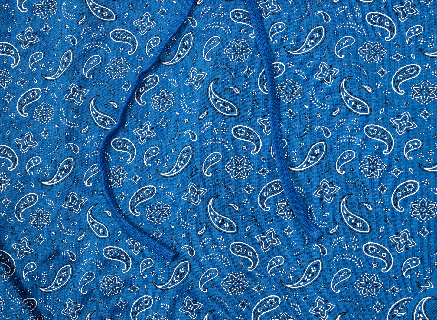 Oneness Sawyer Hoodie in Blau