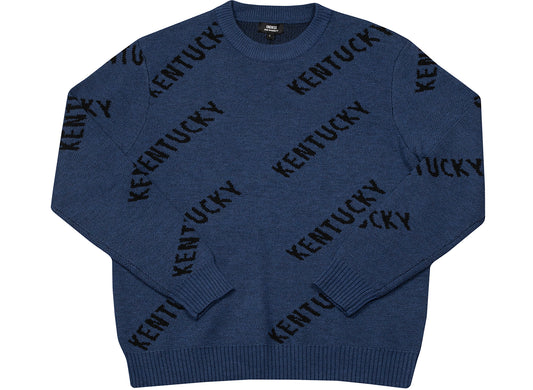 Oneness Stapleton Sweater in Blue