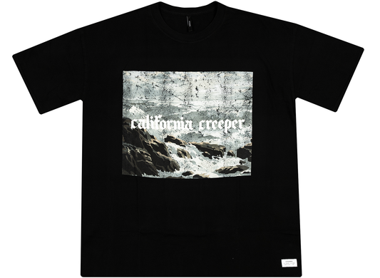Stampd Art Worker Vol 1.2 - California Creeper Tee in Faded Black
