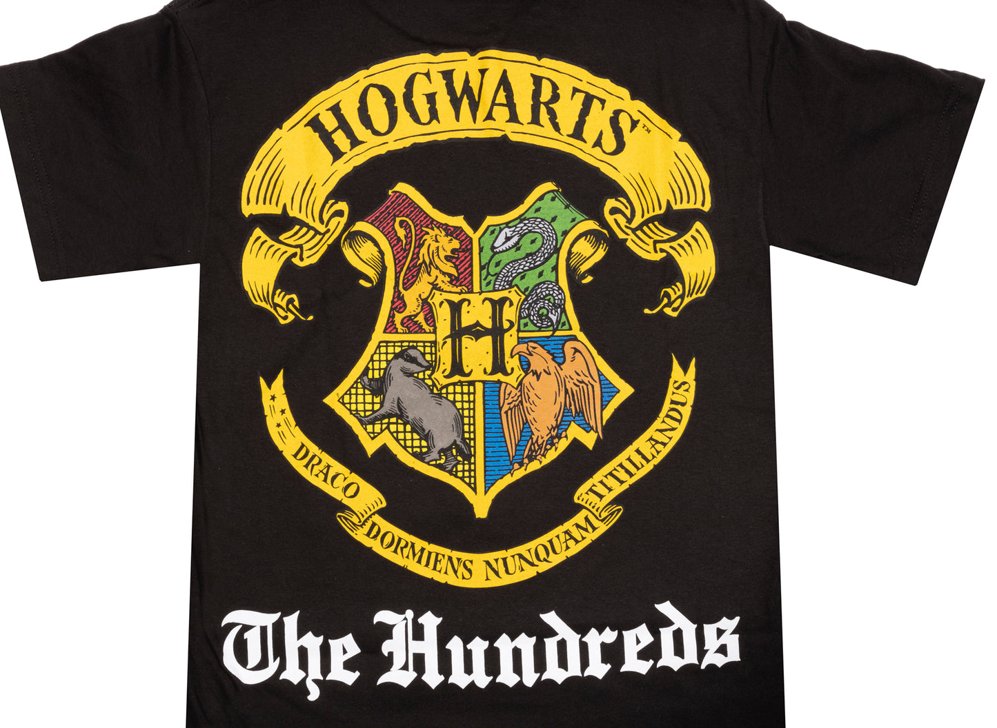 The Hundreds x Harry Potter Hogwarts T-Shirt in Schwarz