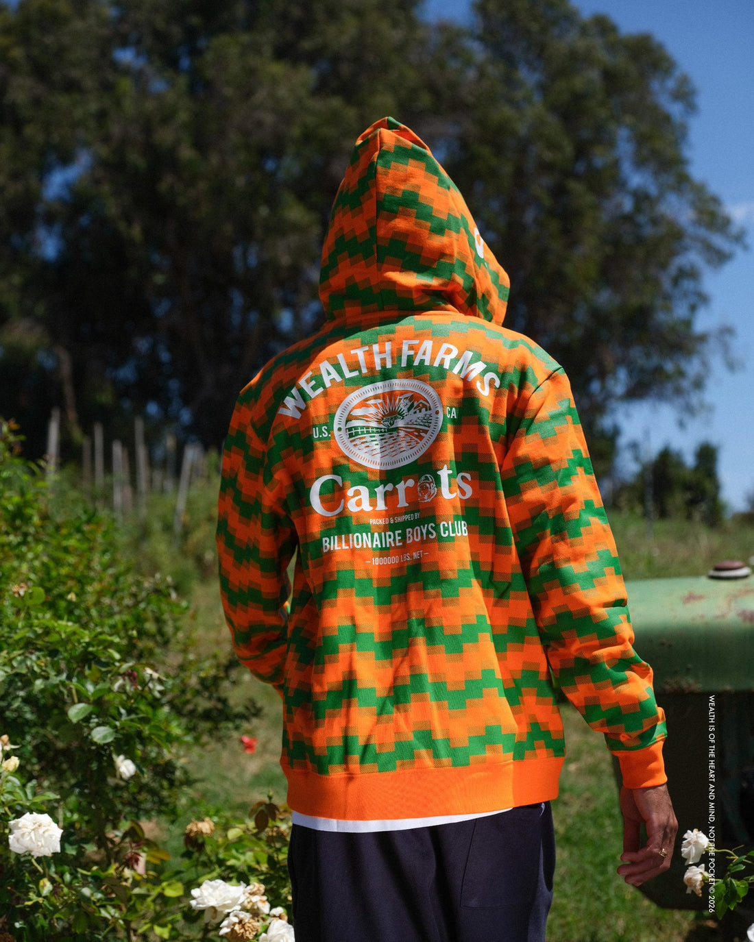 Billionaire Boys Club × CARROTS Wealth Farms hoodie on-model outdoor campaign — official BBC