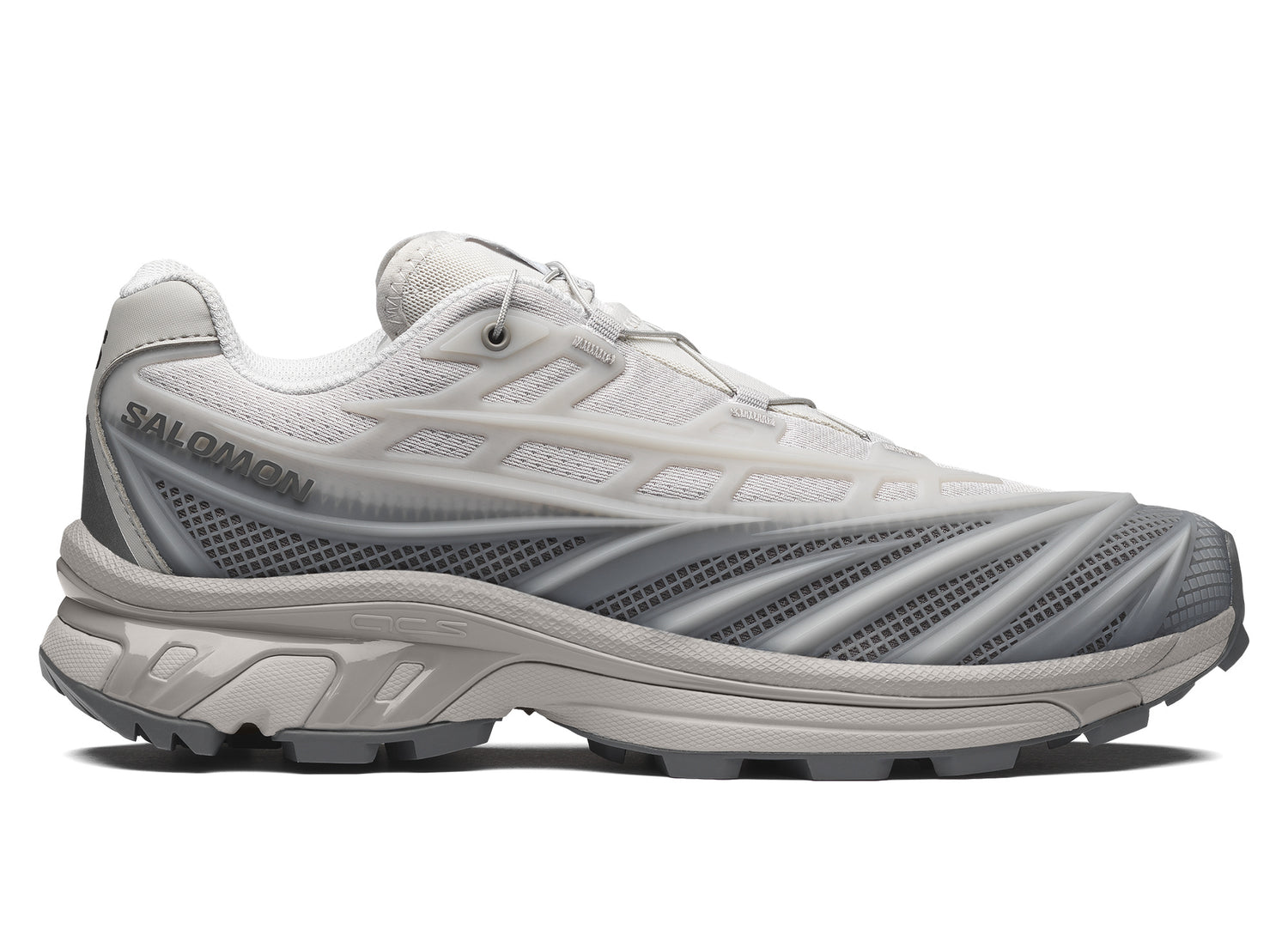 Salomon XT-EVO L45419100 Alloy / Castlerock / FTW Silver view 1