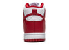 Nike Dunk High Retro SE