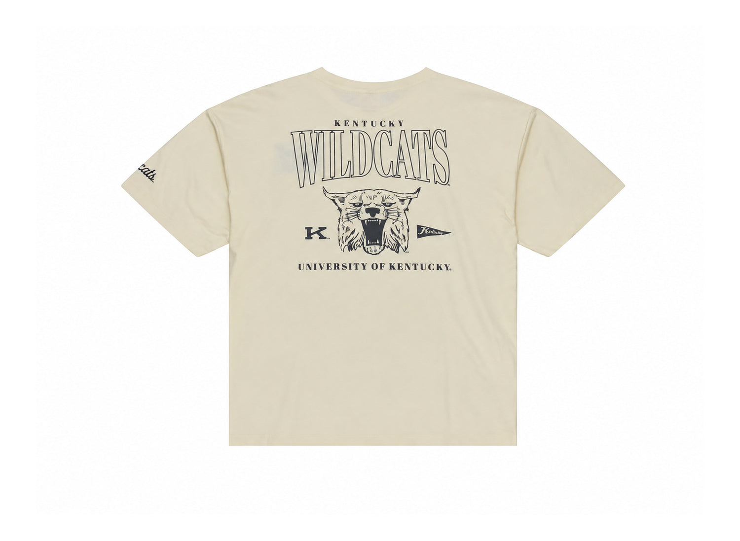 Mitchell & Ness Kentucky Wildcats Heritage Hues Oversized T-Shirt in Cream - back