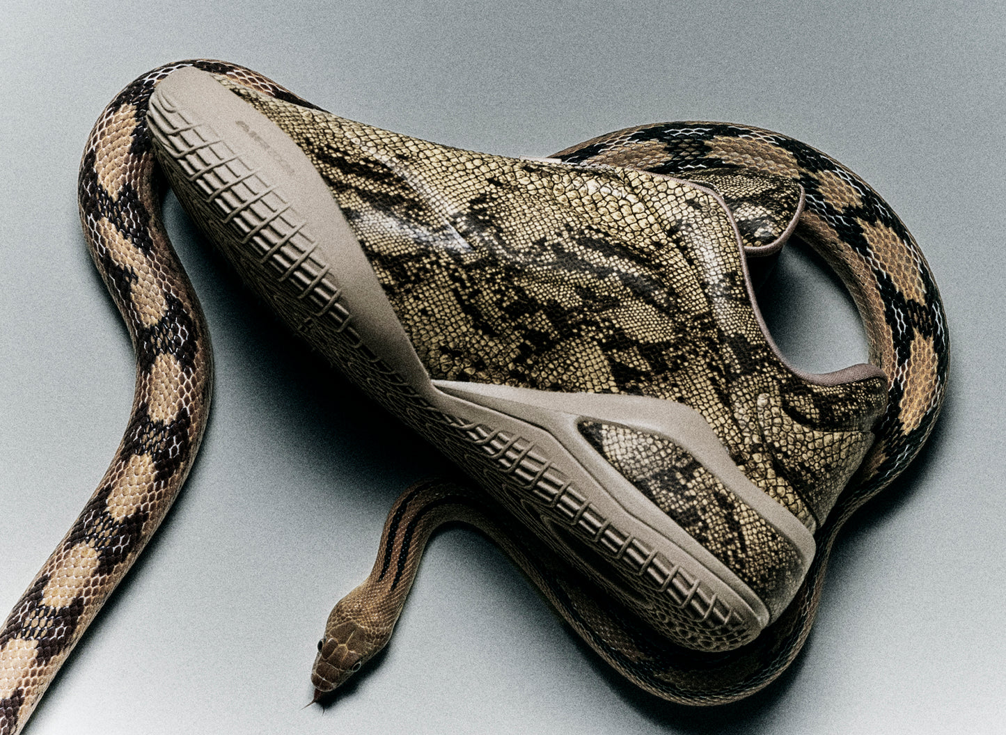 Converse Shai 001 Premium: 'Slither'