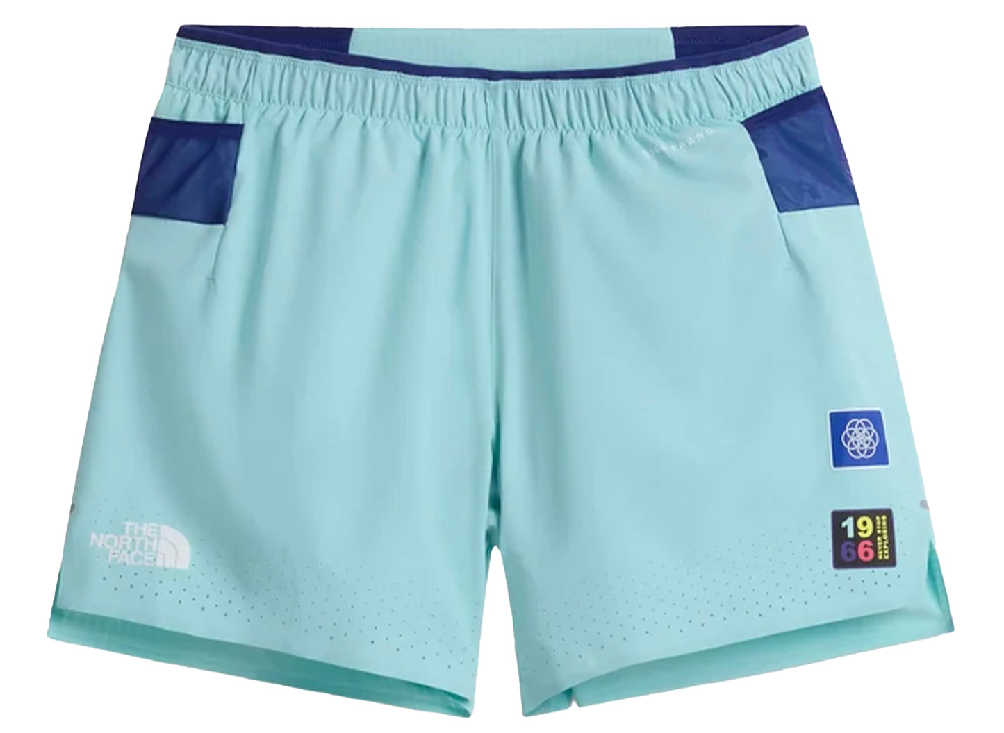 The North Face Summit Pacesetter Expedition Shorts - Graphic in Canal Blue