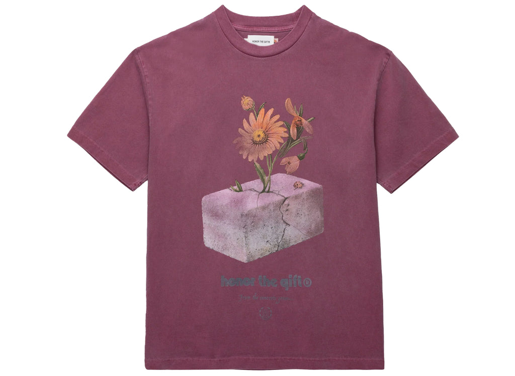 Honor the Gift Concrete 2.0 S/S Tee in Brick Red