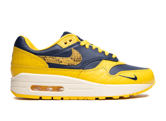 Women's Nike Air Max 1 Premium