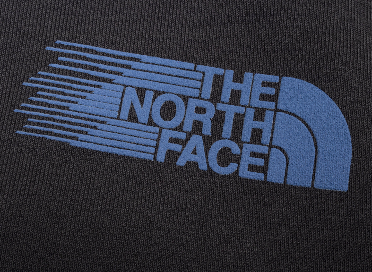 The North Face Retro Trail Relaxed Crew - Graphic in Anthracite Gray