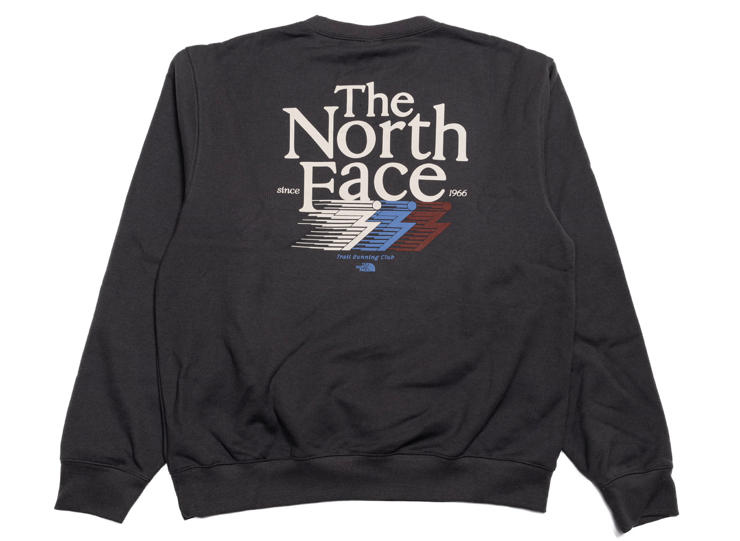 The North Face Retro Trail Relaxed Crew - Graphic in Anthracite Gray