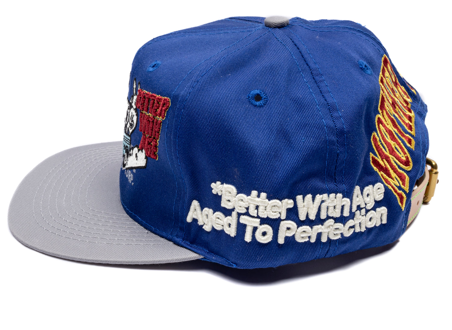 Better With Age Ass Vintage Hat in multi-color, a one-of-one handmade unisex cap, view 2