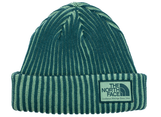 The North Face Salty Lined SE Beanie in Pacific Teal / Heritage