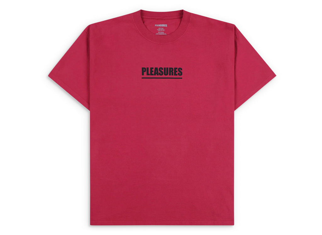 Pleasures Scripture T-Shirt in Ruby
