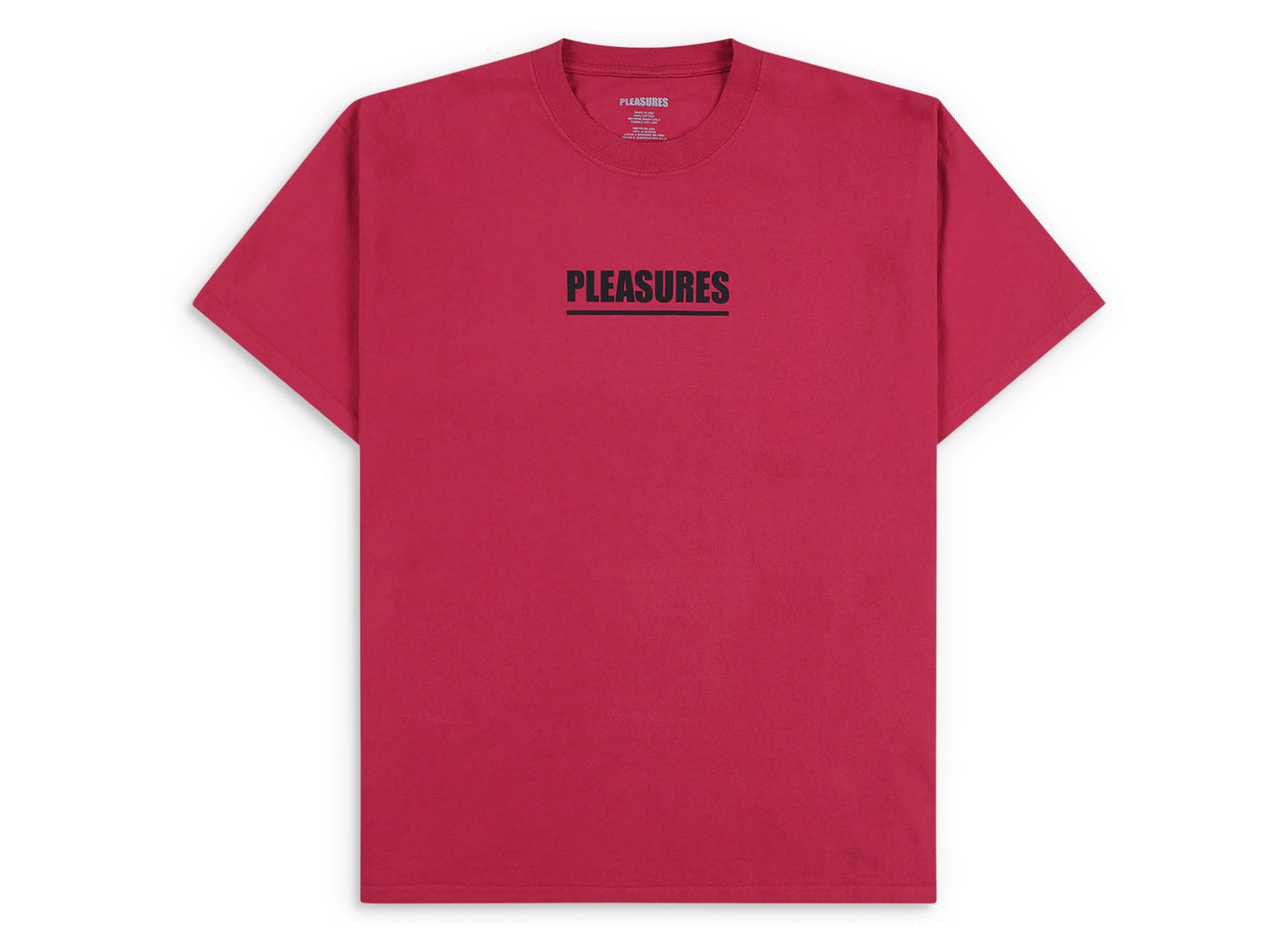 Pleasures Scripture T-Shirt in Ruby