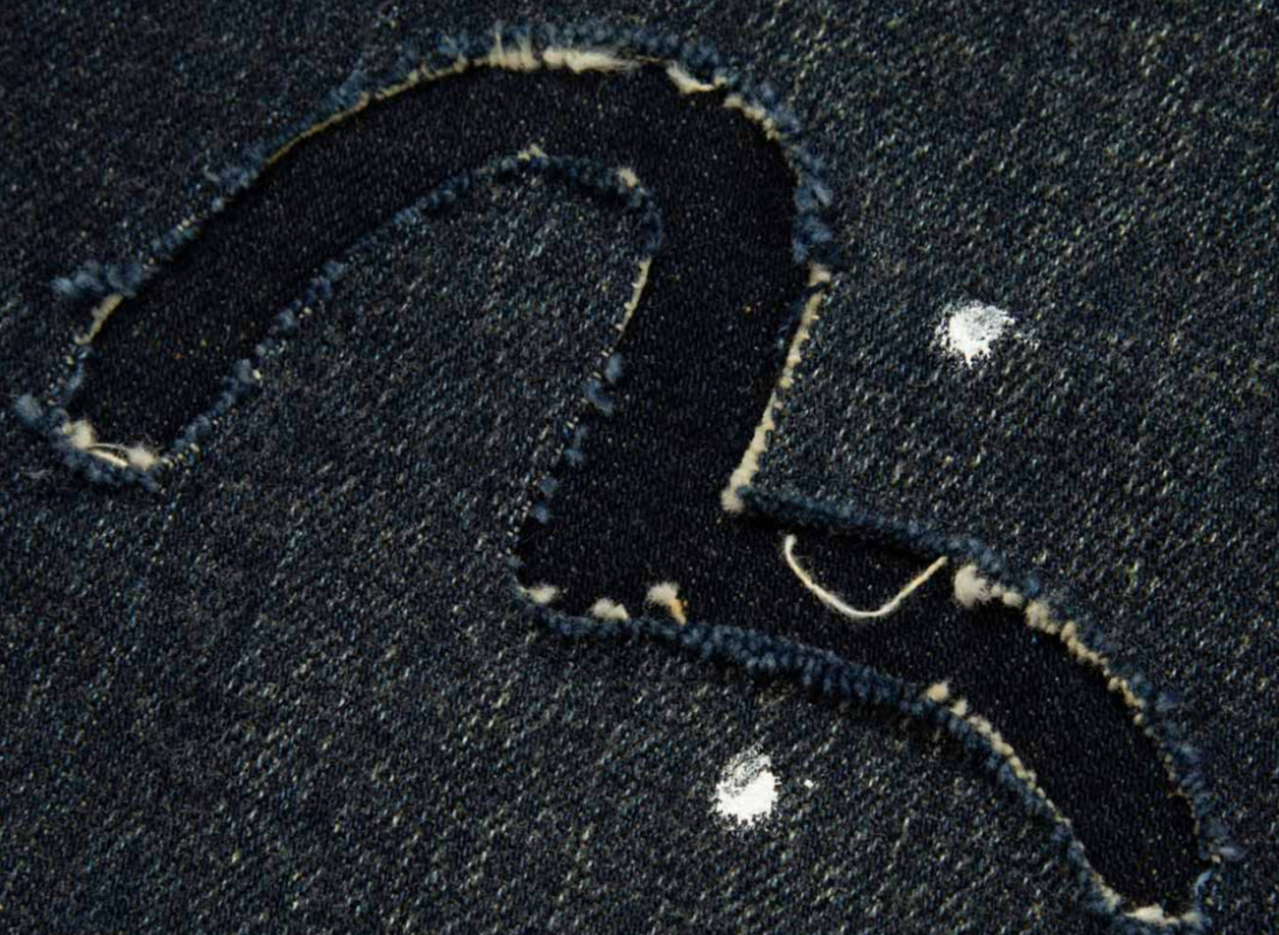 Evisu Seagull Print Slim Fit Denim Jeans