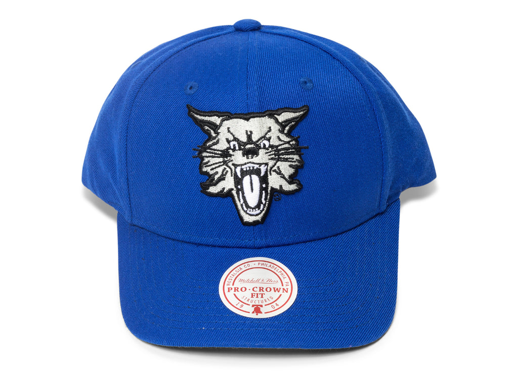 Mitchell & Ness NCAA Kentucky Wildcats Cat Head Pro Crown Snapback Hat
