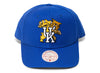 Mitchell & Ness NCAA Kentucky Wildcats UK Pro Crown Snapback