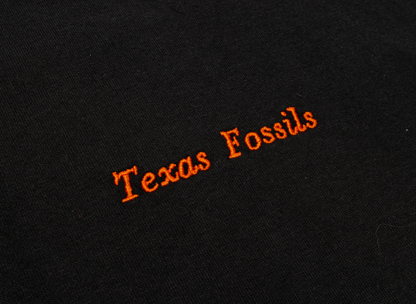 Nike ACG OC Fossils Tee