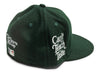 New Era x Diet Starts Monday Houston Astros Fitted Hat in Dark Green