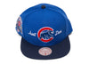 Mitchell & Ness Just Don Mainline Script Snapback Cubs
