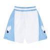 Mitchell & Ness NCAA North Carolina 1983 Shorts