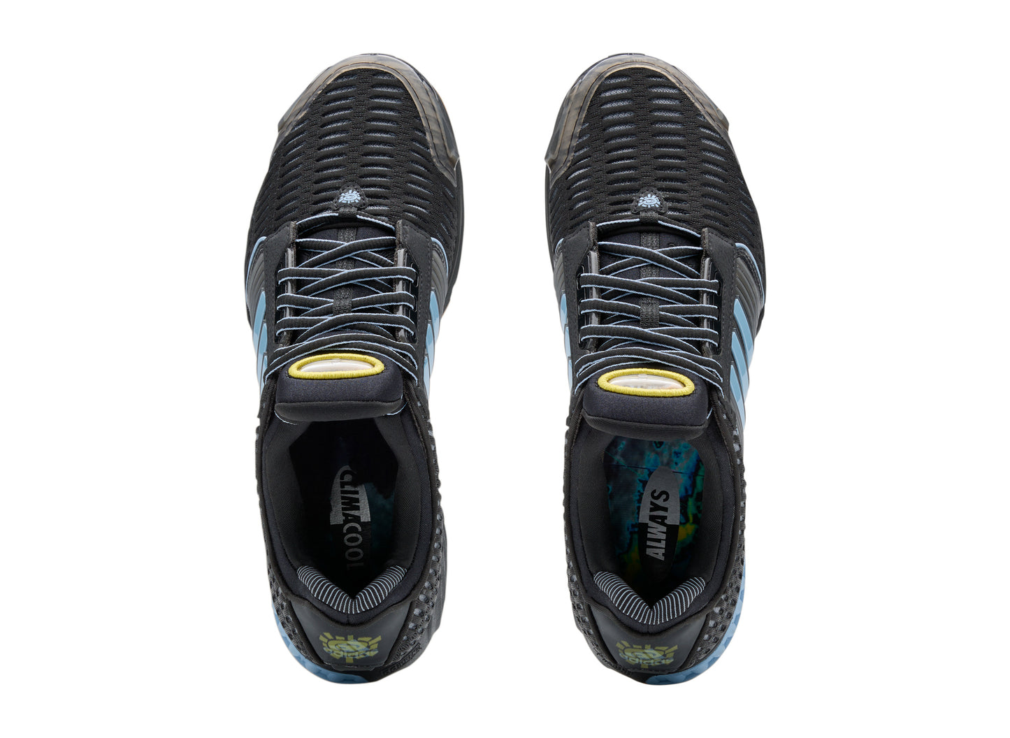 Adidas x Always Do What You Should Do Climacool 1 KH7535 — top view
