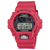 Casio G-Shock 30th Anniversary 6900 Series DW6900TR-4 Watch